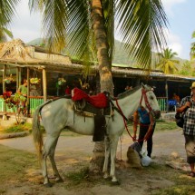 Santa Marta